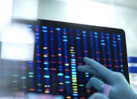 Genoma SUS está com vagas abertas para cientistas de dados e bioinformatas
