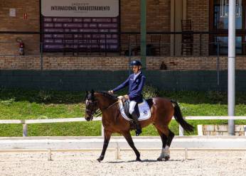 Cavalo Crioulo é presença confirmada no Mundial Paraequestre na Alemanha