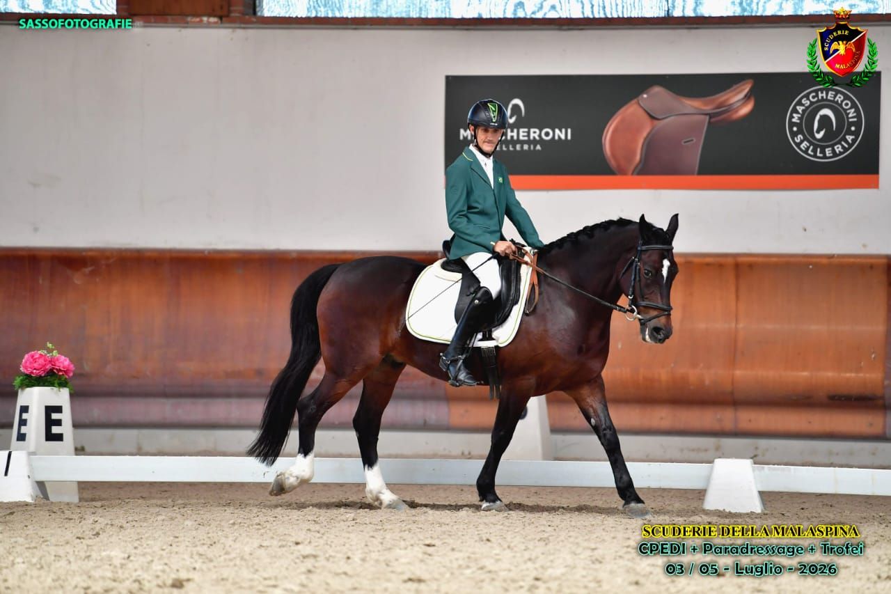 Cleberson Palhano faz história no hipismo e disputa Mundial Equestre com cavalo Crioulo