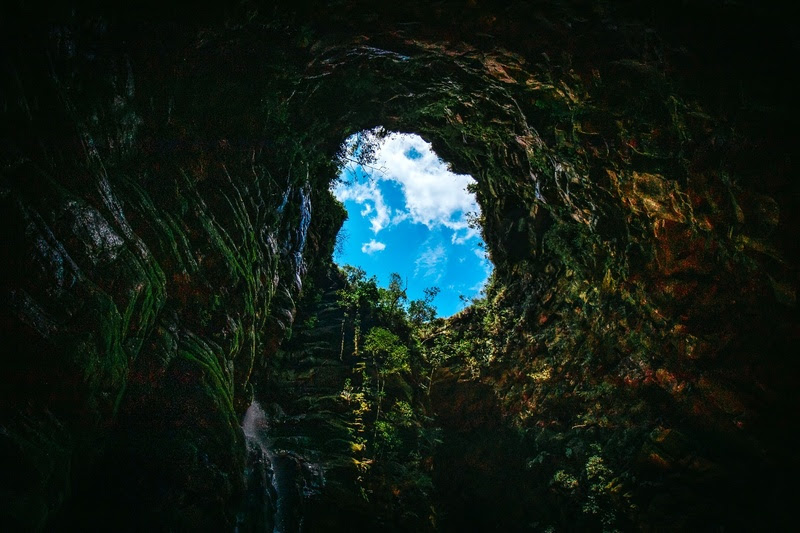 Refúgio das Curucacas, Buraco do Padre e Parque Estadual de Vila Velha realizam ‘Macelada Entre Parques’ com colheita da macela ao amanhecer