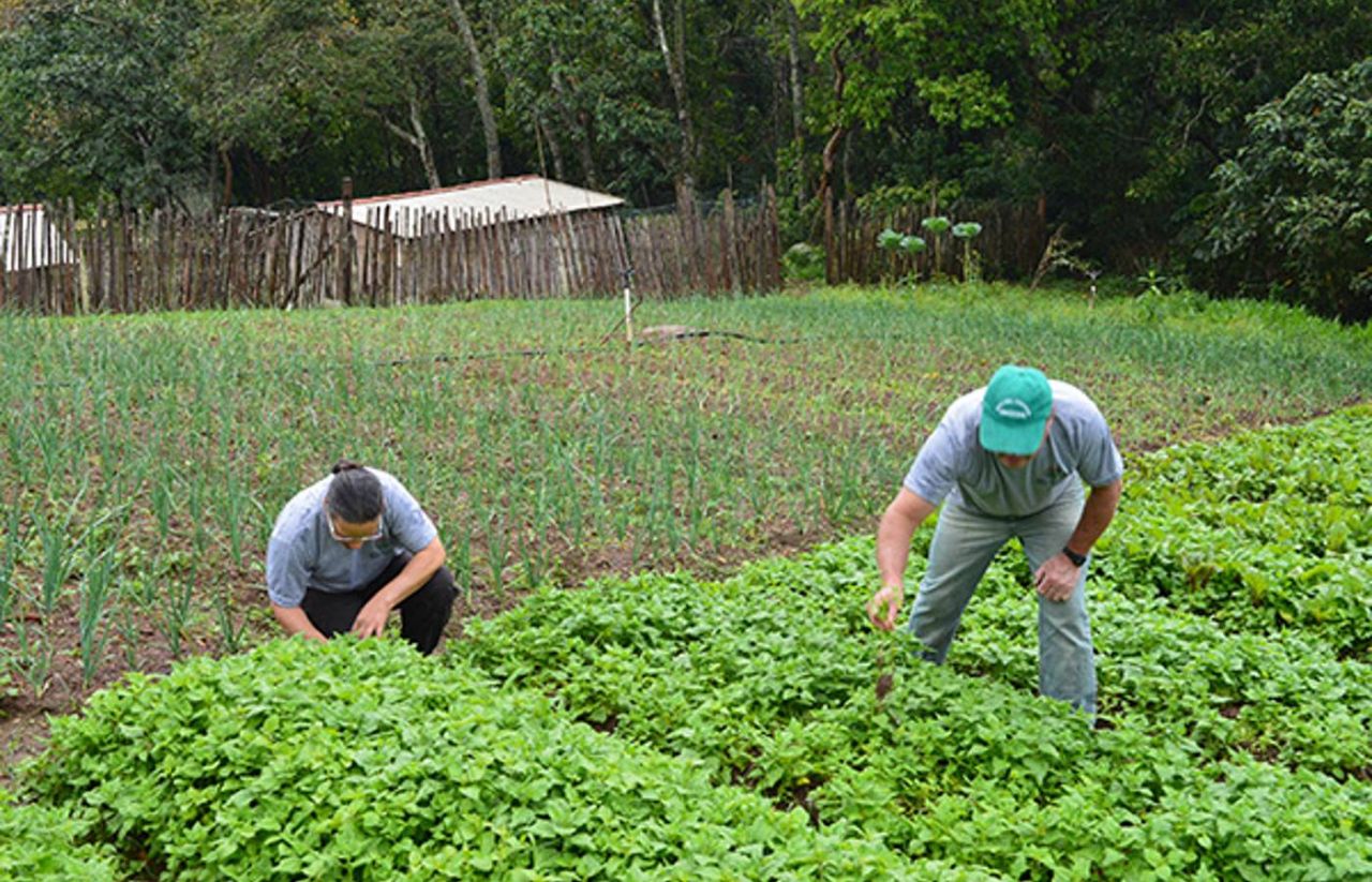 Desenrola Rural no Banco da Amazônia: agricultores familiares podem renegociar dívidas com descontos de até 80%