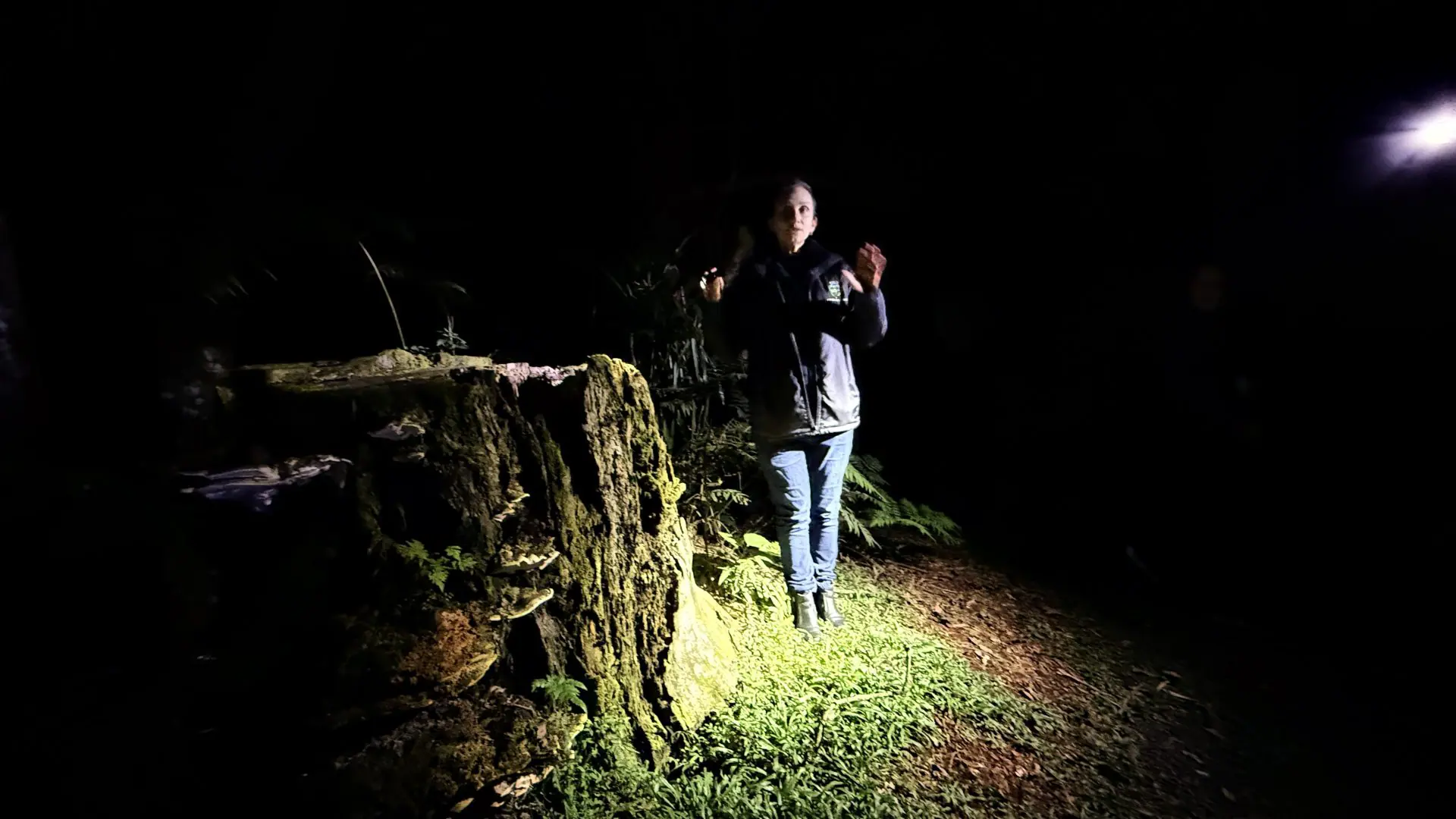 Trilha da Lua Cheia reúne participantes em experiência de conexão com a natureza no Parque das Araucárias